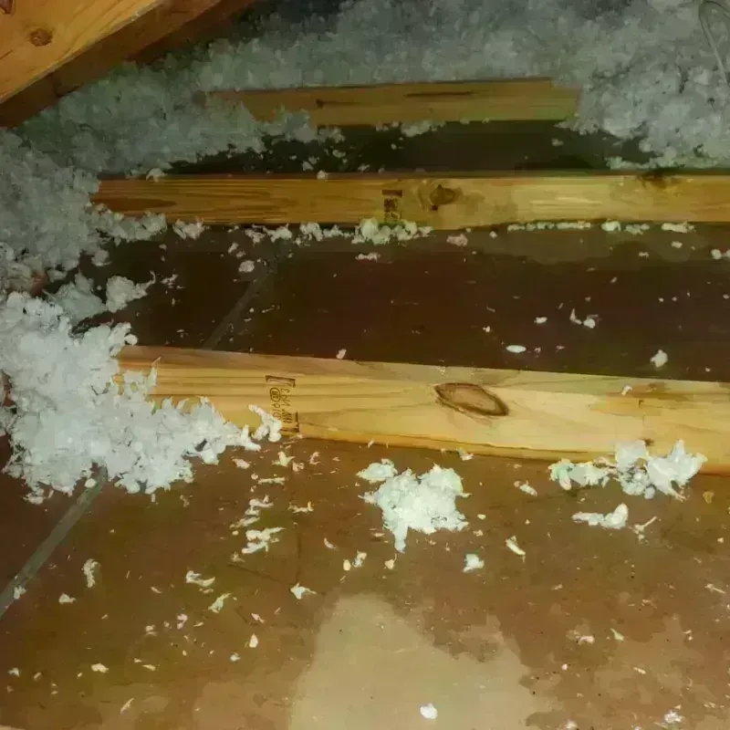 Attic Water Damage in Eagle Pass, TX